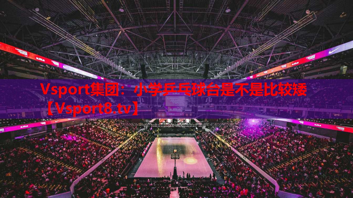 Vsport集團：小學(xué)乒乓球臺是不是比較矮