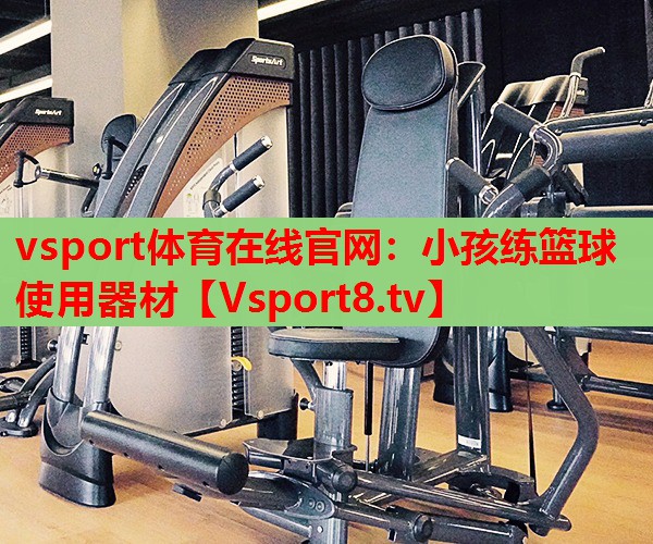 vsport體育在線官網：小孩練籃球使用器材