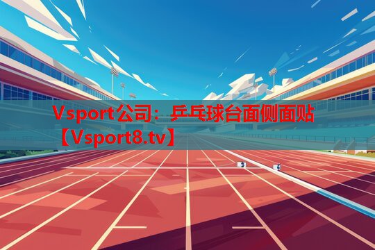 Vsport公司：乒乓球臺面?zhèn)让尜N