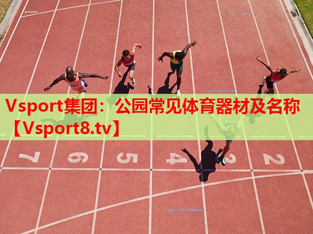 Vsport集團：公園常見體育器材及名稱