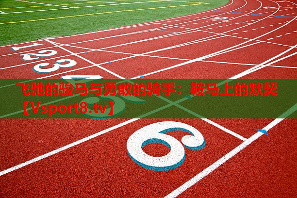 飛馳的駿馬與勇敢的騎手：鞍馬上的默契
