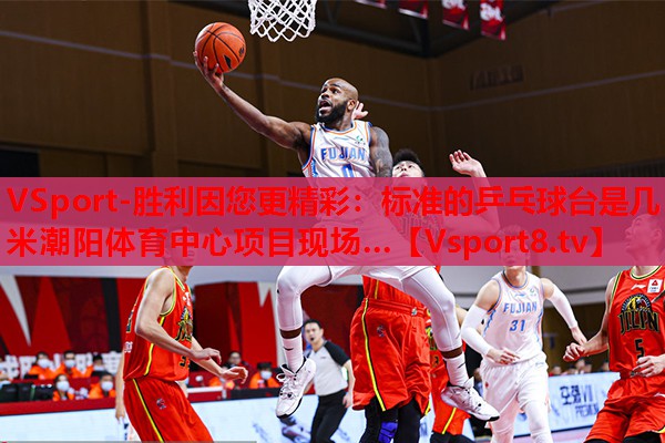 VSport-勝利因您更精彩：標(biāo)準(zhǔn)的乒乓球臺是幾米潮陽體育中心項(xiàng)目現(xiàn)場…