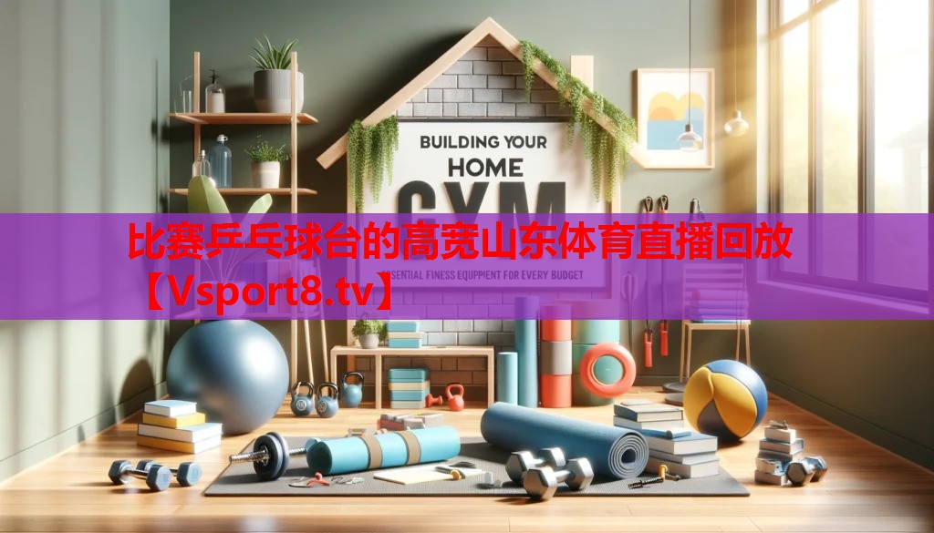 比賽乒乓球臺的高寬山東體育直播回放