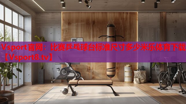 Vsport官網(wǎng)：比賽乒乓球臺標準尺寸多少米樂體育下載