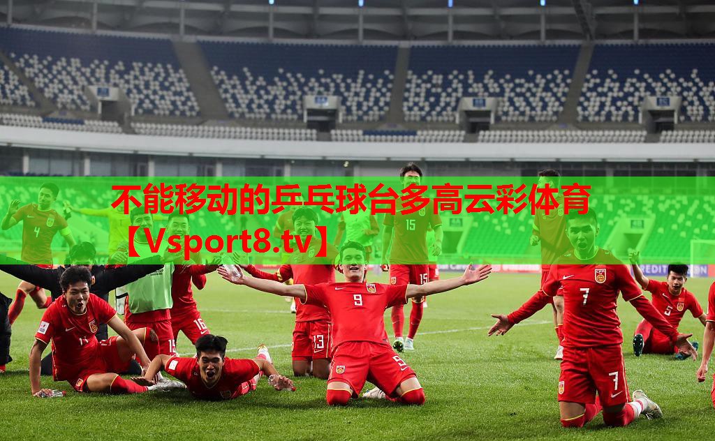 不能移動的乒乓球臺多高云彩體育
