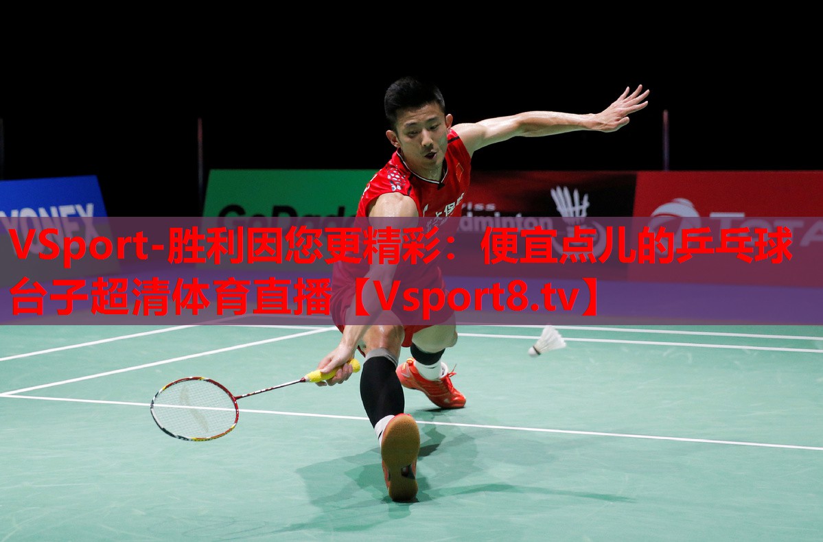 VSport-勝利因您更精彩：便宜點兒的乒乓球臺子超清體育直播