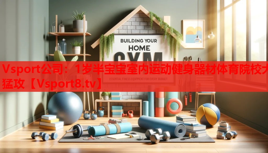 Vsport公司：1歲半寶寶室內(nèi)運(yùn)動(dòng)健身器材體育院校大猛攻