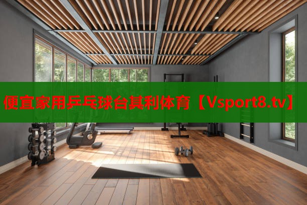 便宜家用乒乓球臺(tái)其利體育