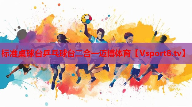 標(biāo)準(zhǔn)桌球臺乒乓球臺二合一邁博體育