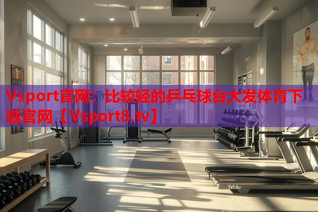 Vsport官網(wǎng)：比較輕的乒乓球臺大發(fā)體育下載官網(wǎng)