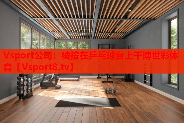 Vsport公司：被按在乒乓球臺上干博世彩體育