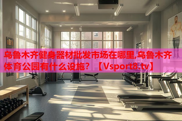 烏魯木齊健身器材批發(fā)市場在哪里,烏魯木齊體育公園有什么設施？