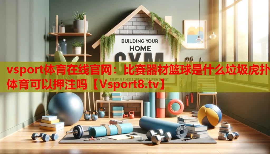 vsport體育在線官網(wǎng)：比賽器材籃球是什么垃圾虎撲體育可以押注嗎