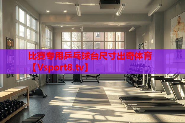 比賽專用乒乓球臺(tái)尺寸出奇體育