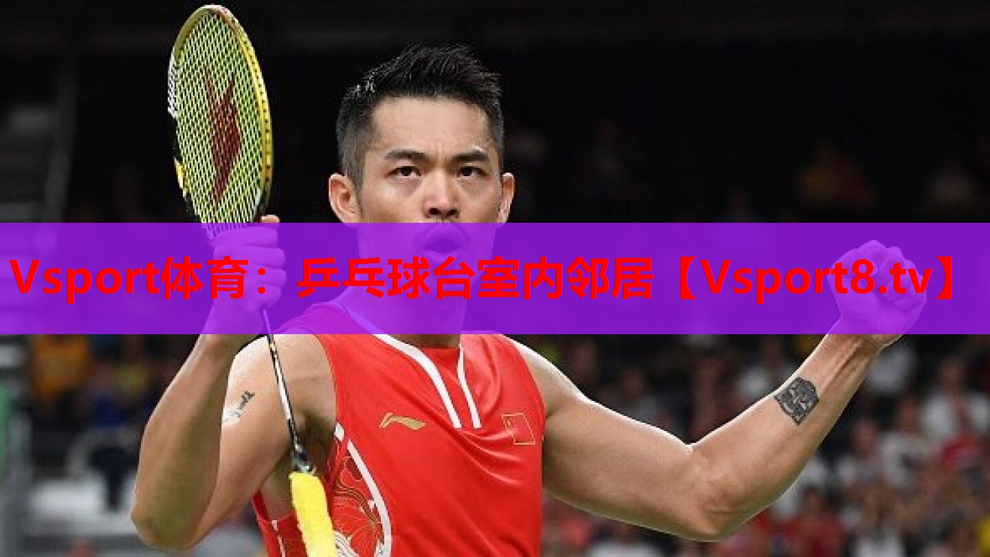 <strong>Vsport體育：乒乓球臺(tái)室內(nèi)鄰居</strong>