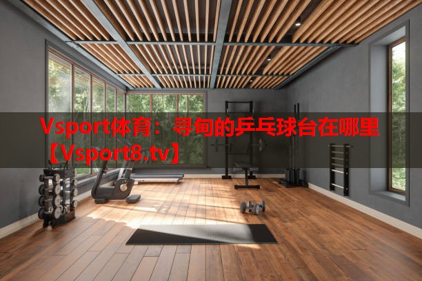 尋甸的乒乓球臺在哪里