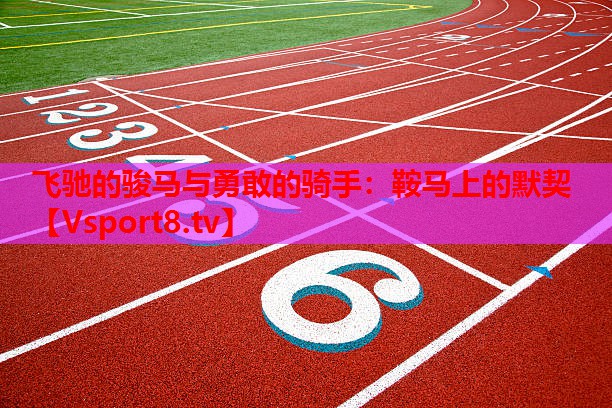 飛馳的駿馬與勇敢的騎手：鞍馬上的默契