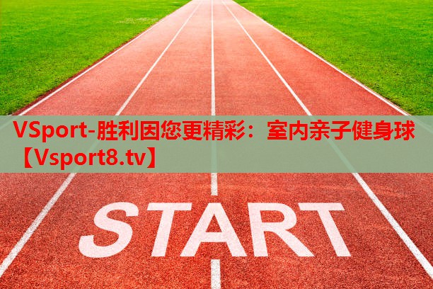 室內親子健身球