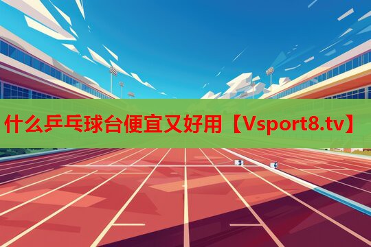 什么乒乓球臺(tái)便宜又好用