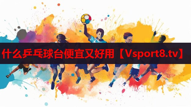什么乒乓球臺(tái)便宜又好用
